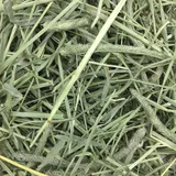 Oxbow Western Timothy Hay (40 oz) - 1.13kg