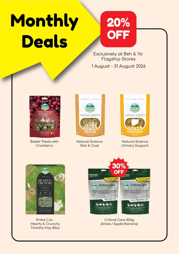 August Promotion 2026