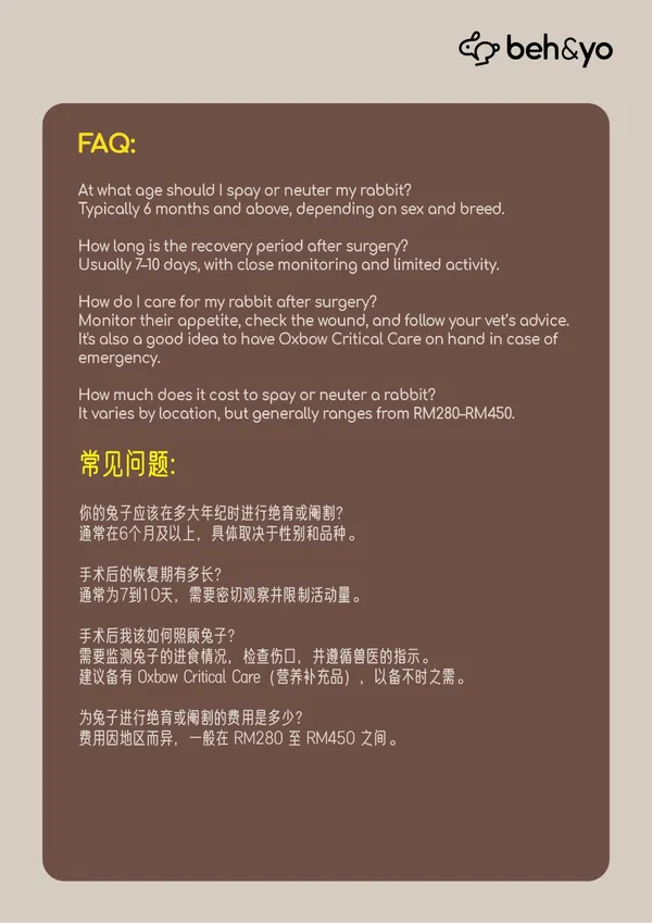 Beh & Yo Edition - Issue #8 - May 2025