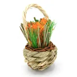 Oxbow Enriched Life - Celebration Basket