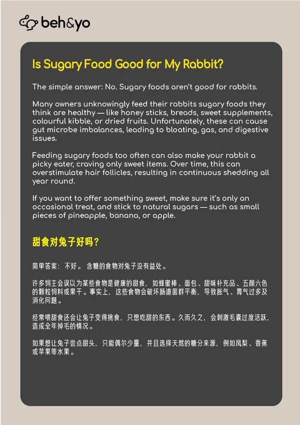 Beh & Yo Edition - Issue #14 -  November 2025