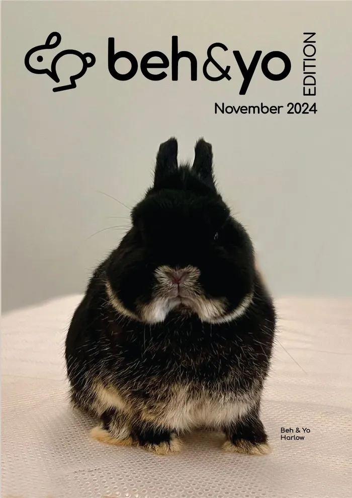 Beh & Yo Edition -  Issue #2 - November 2024