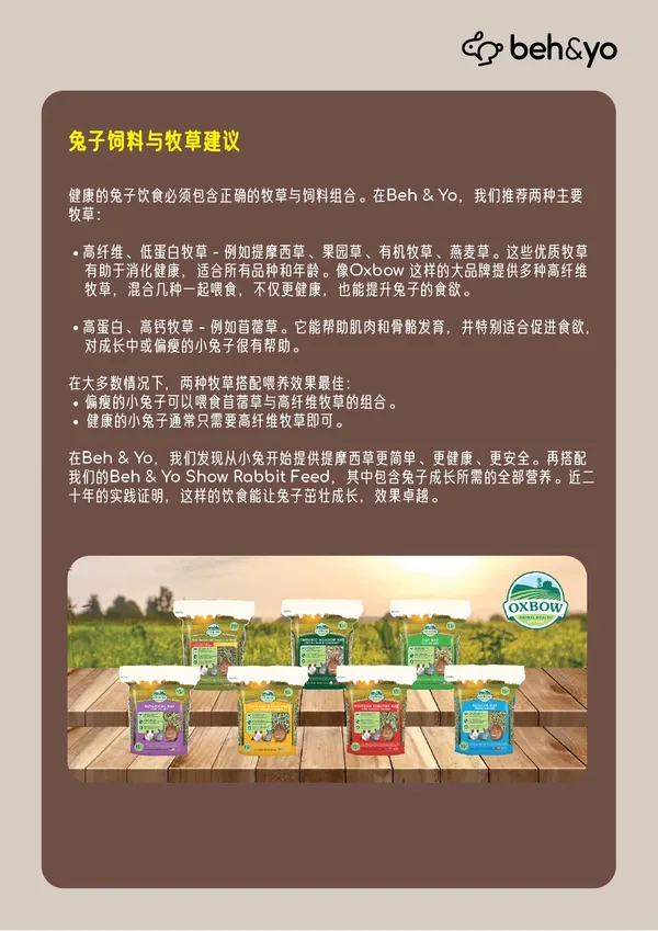 Beh & Yo Edition- Issue #13 - October 2025