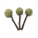 Oxbow Enriched Life - Timmy Pops