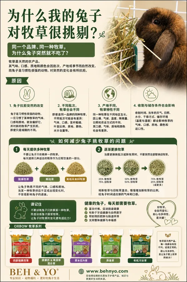 🐰 Why Is My Rabbit Picky About Hay?
