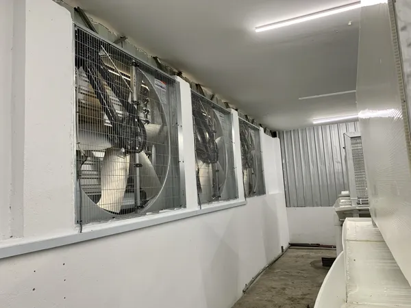 How Beh & Yo Reduces Heat Stress in Our Rabbit Facility