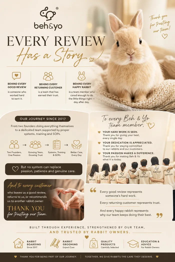 🐰 Every Review Has a Story