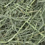 Oxbow Orchard Grass Hay (40 oz) - 1.13kg