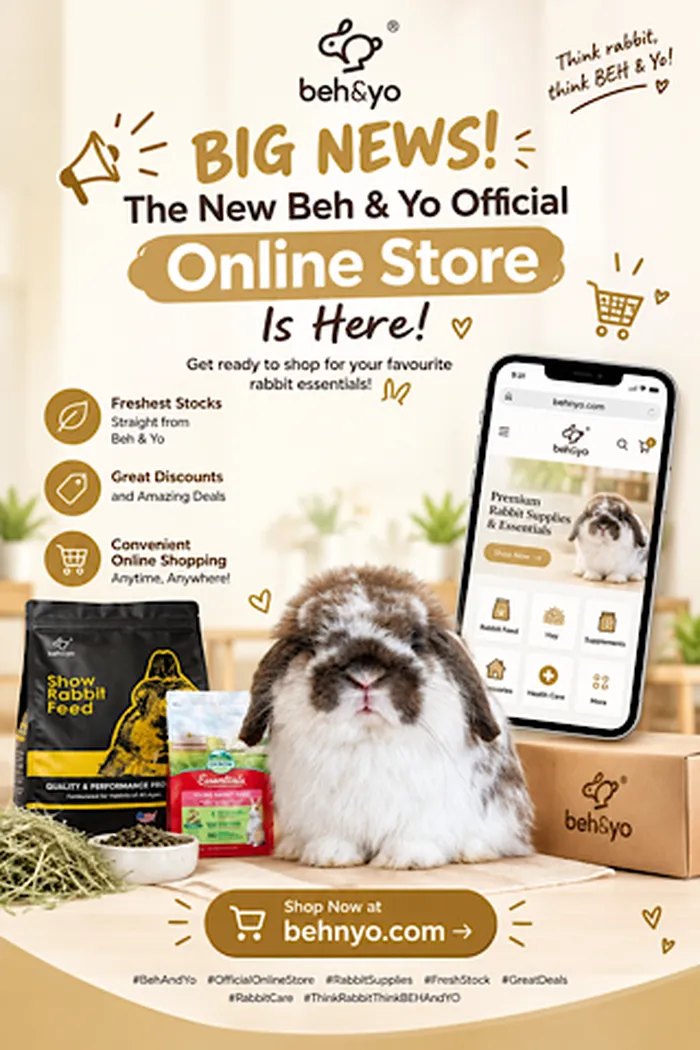 🐰🛍️ BIG NEWS! THE NEW BEH & YO OFFICIAL ONLINE STORE IS HERE! 🎉