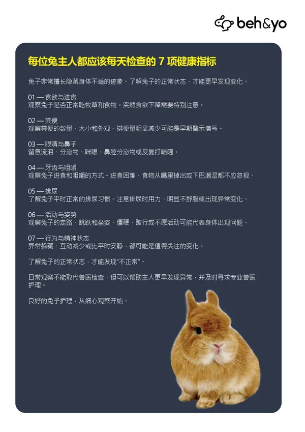 Beh & Yo Edition - Issue #25 - October 2025