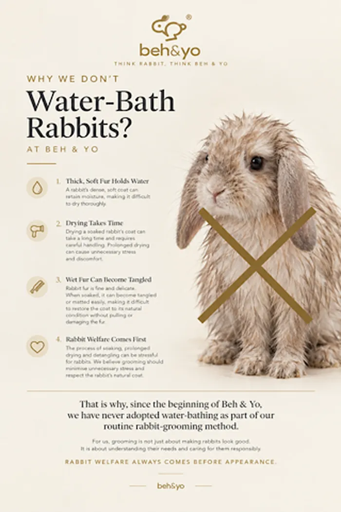 🐰 Why We Don’t Water-Bath Rabbits at Beh & Yo
