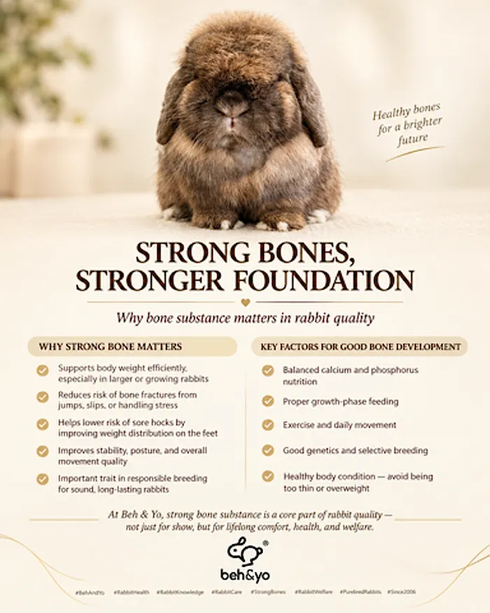 Why strong bone matters