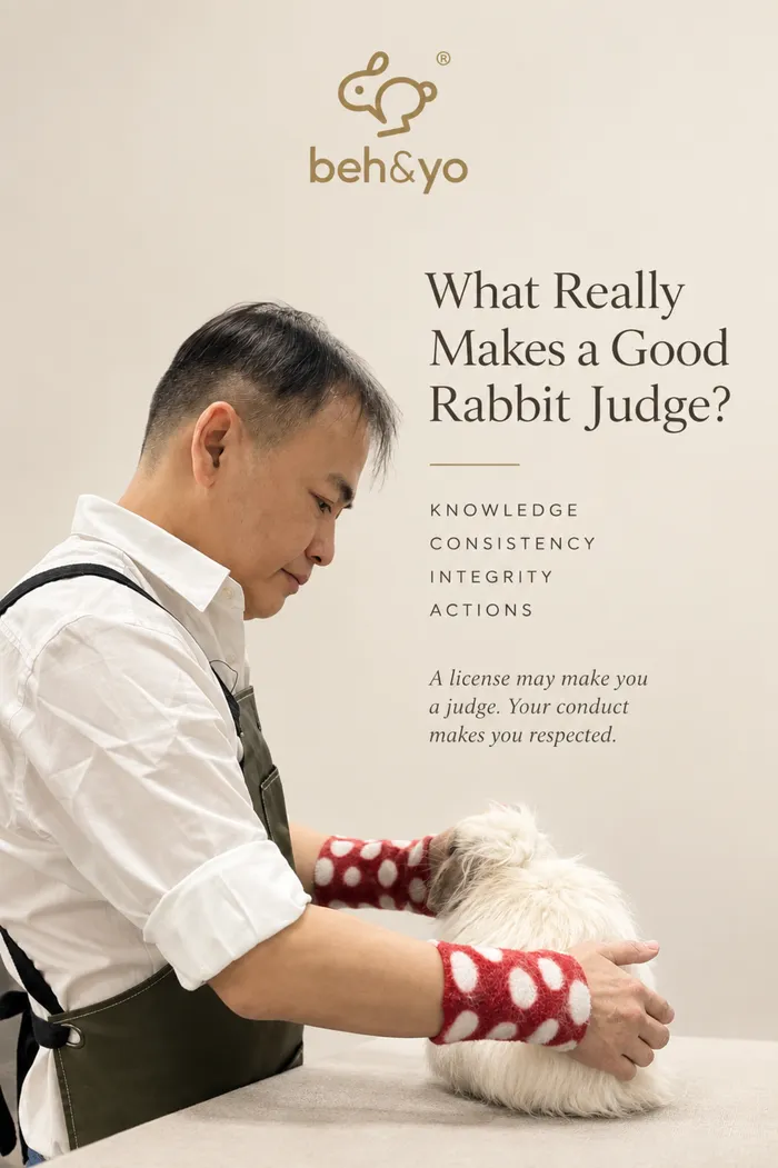 👩‍⚖️ What Really Makes a Good Rabbit Judge?