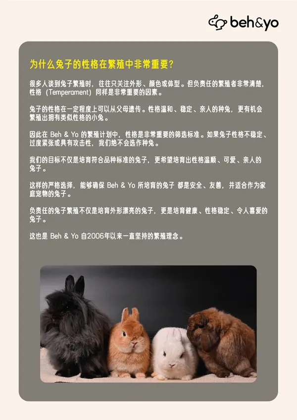 Beh & Yo Edition - Issue #19 - April 2026
