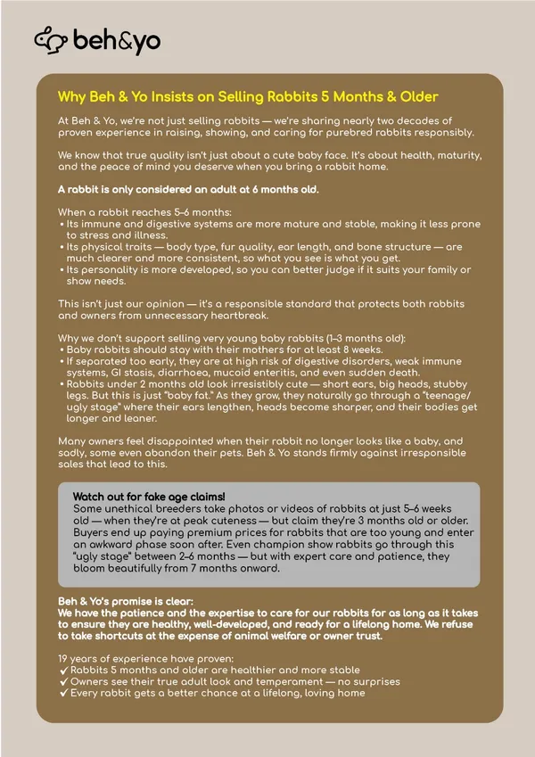 Beh & Yo Edition - Issue #11 - August 2025