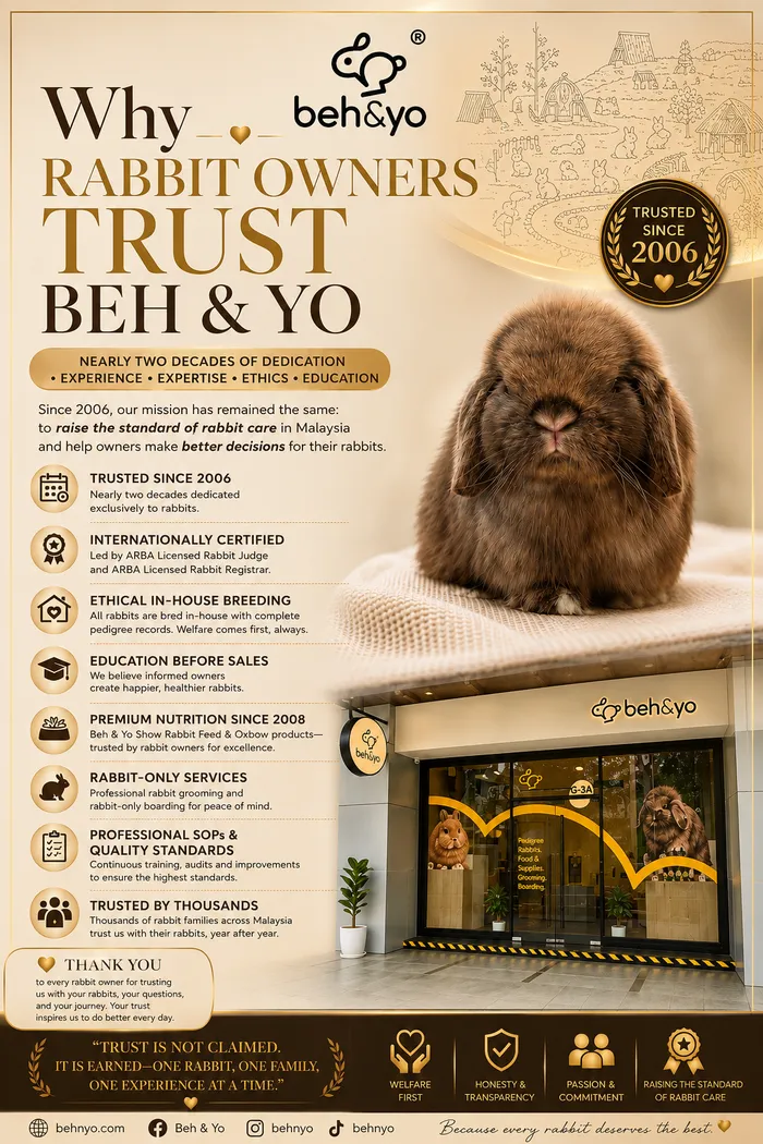 Why Rabbit Owners Trust Beh & Yo