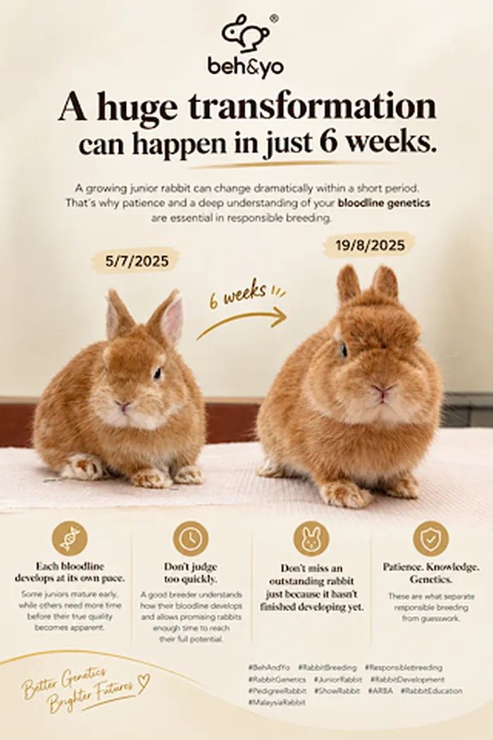 A huge transformation can happen in just 6 weeks.