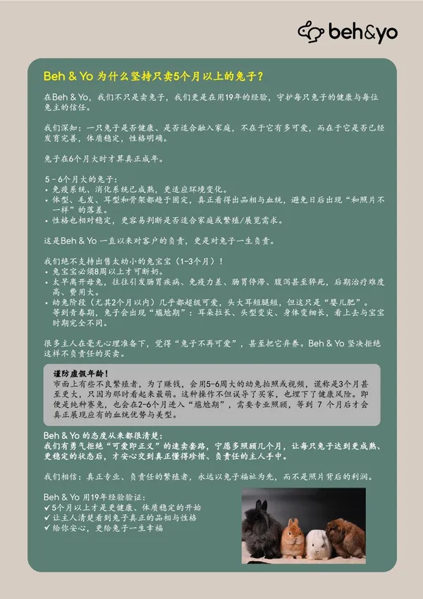 Beh & Yo Edition - Issue #11 - August 2025