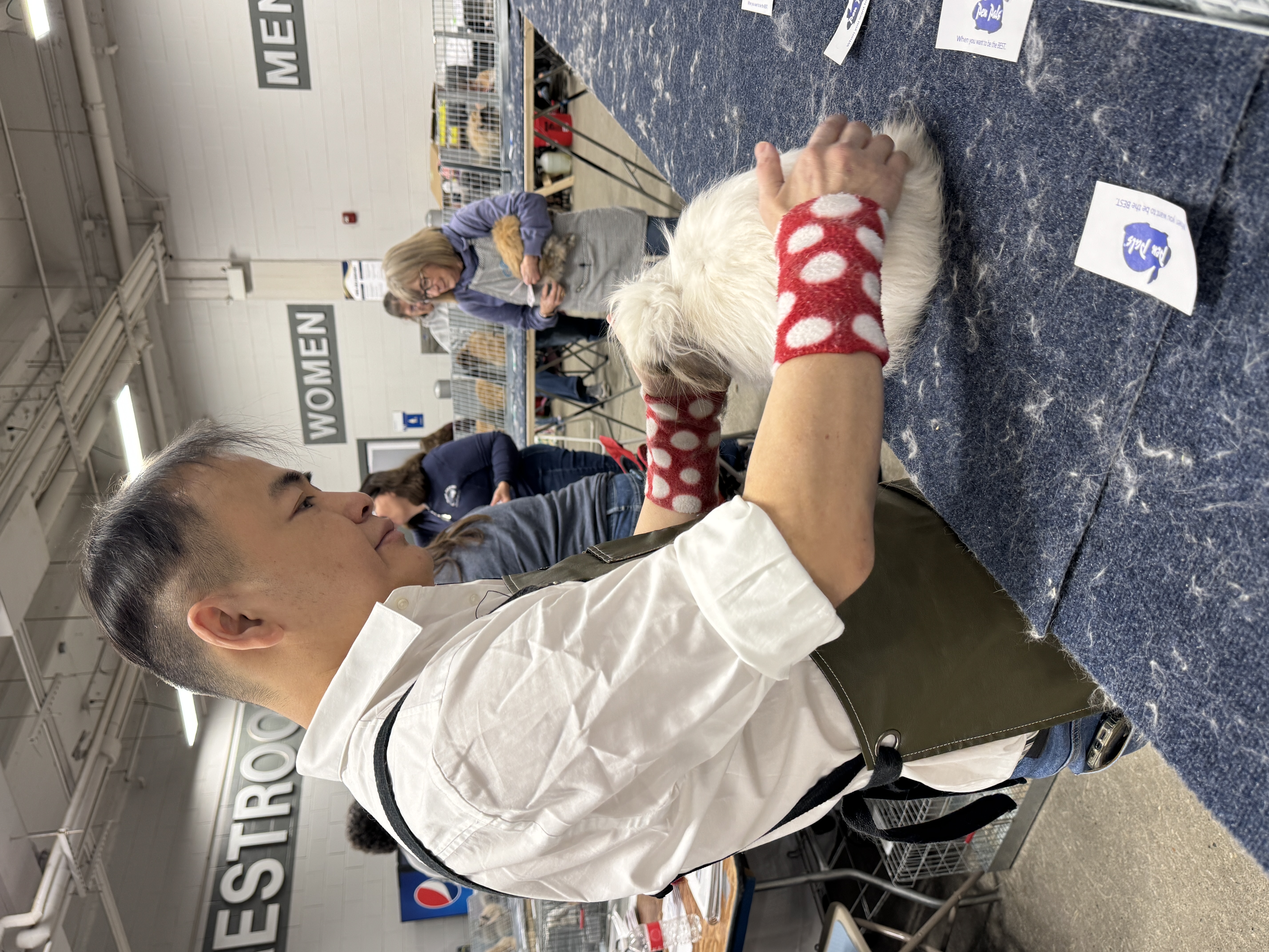Judging at 102nd ARBA National Convention 2025 Indianapolis. BEH judged Open American Fuzzy Lop.