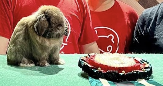 Beh & Yo Hector Apollo won Best in Show in MARBA 2023