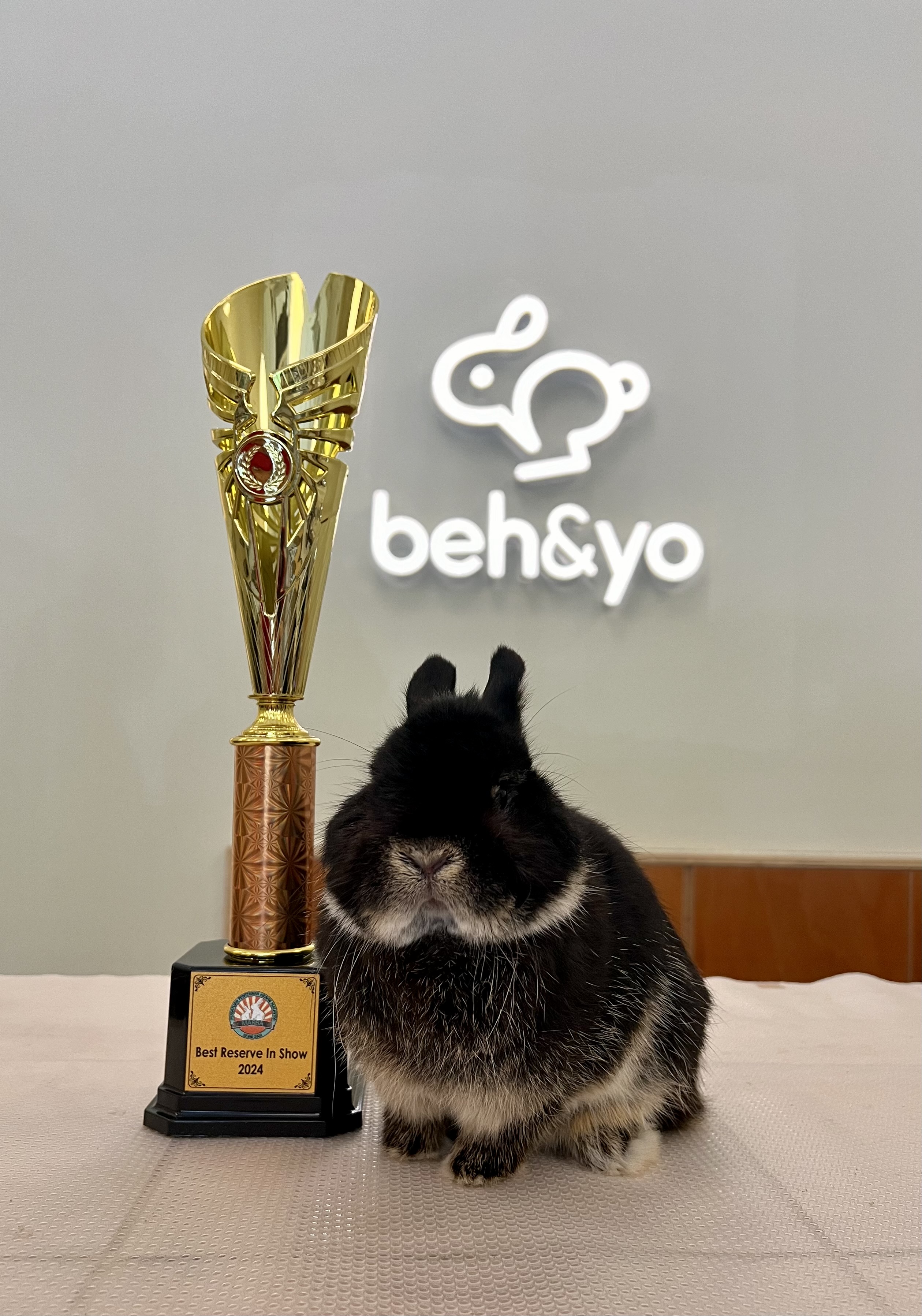 Beh & Yo Atlas won Reserve in Show in MARBA 2024