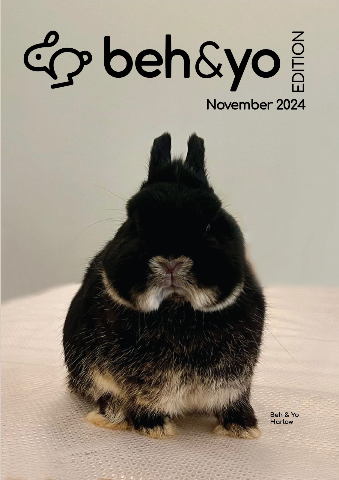 Beh & Yo Edition -  Issue #2 - November 2024