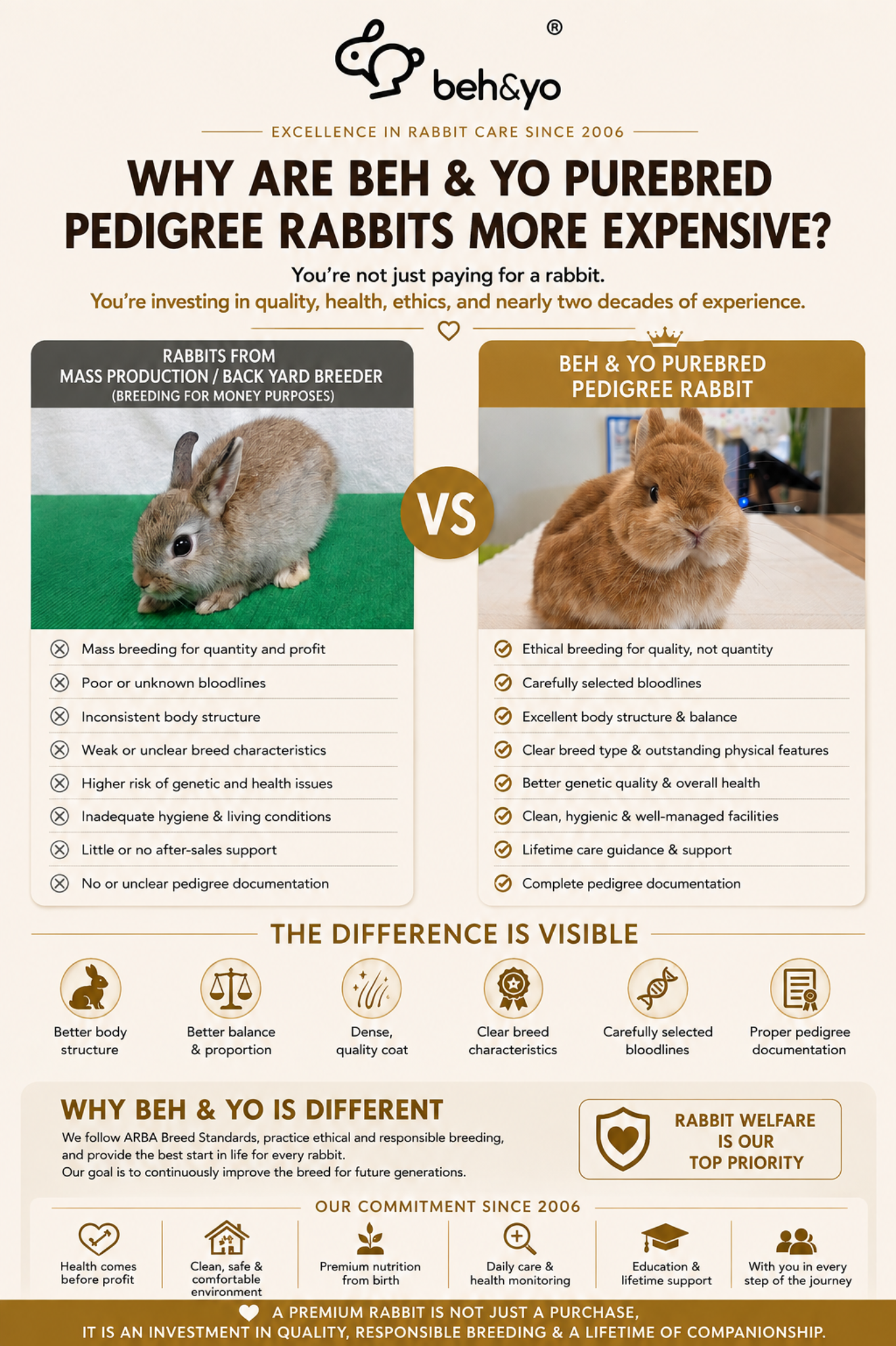 🐰 Why Are Beh & Yo Purebred Pedigree Rabbits More Expensive?