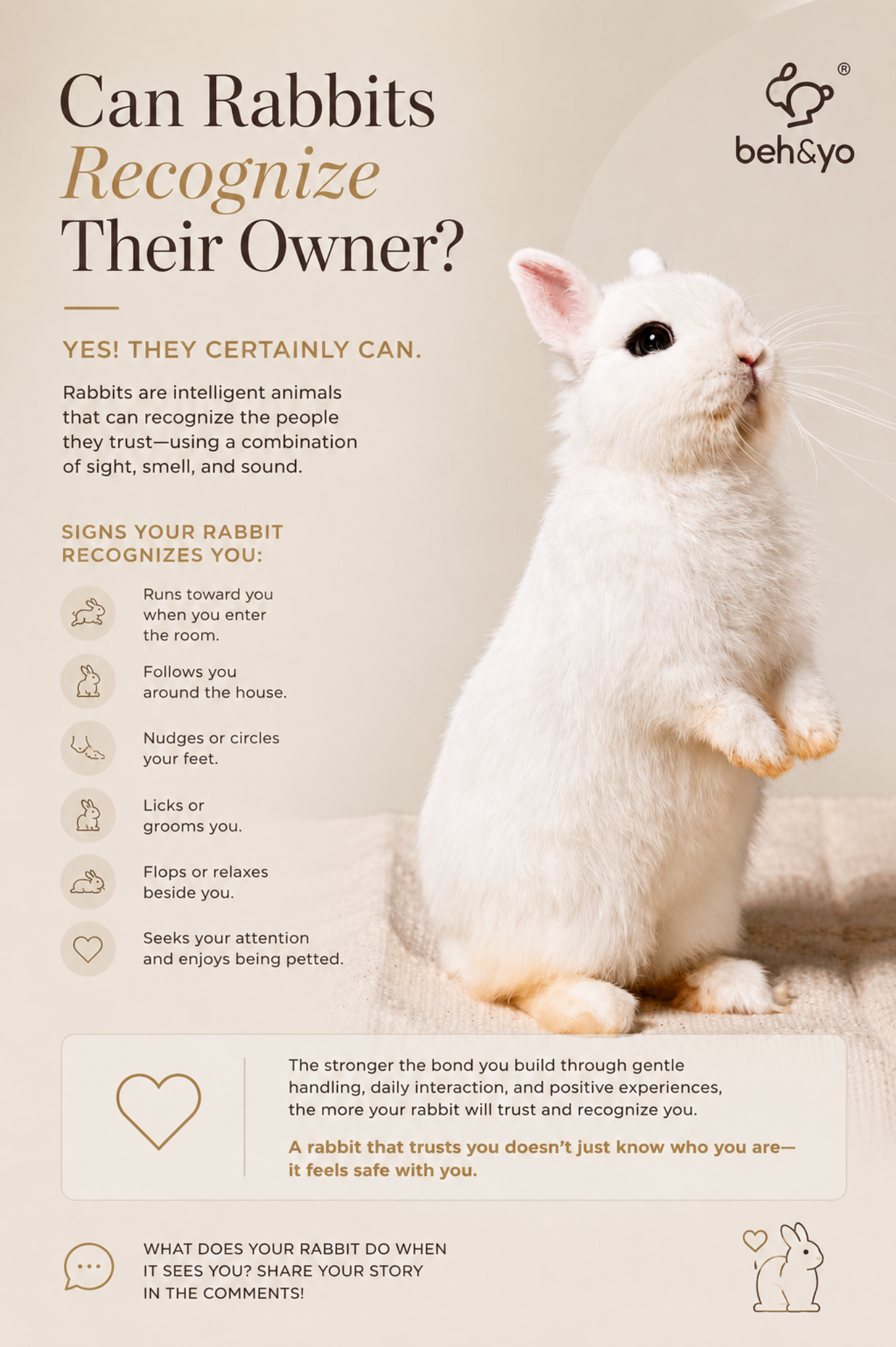 🐰 Can Rabbits Recognize Their Owner?