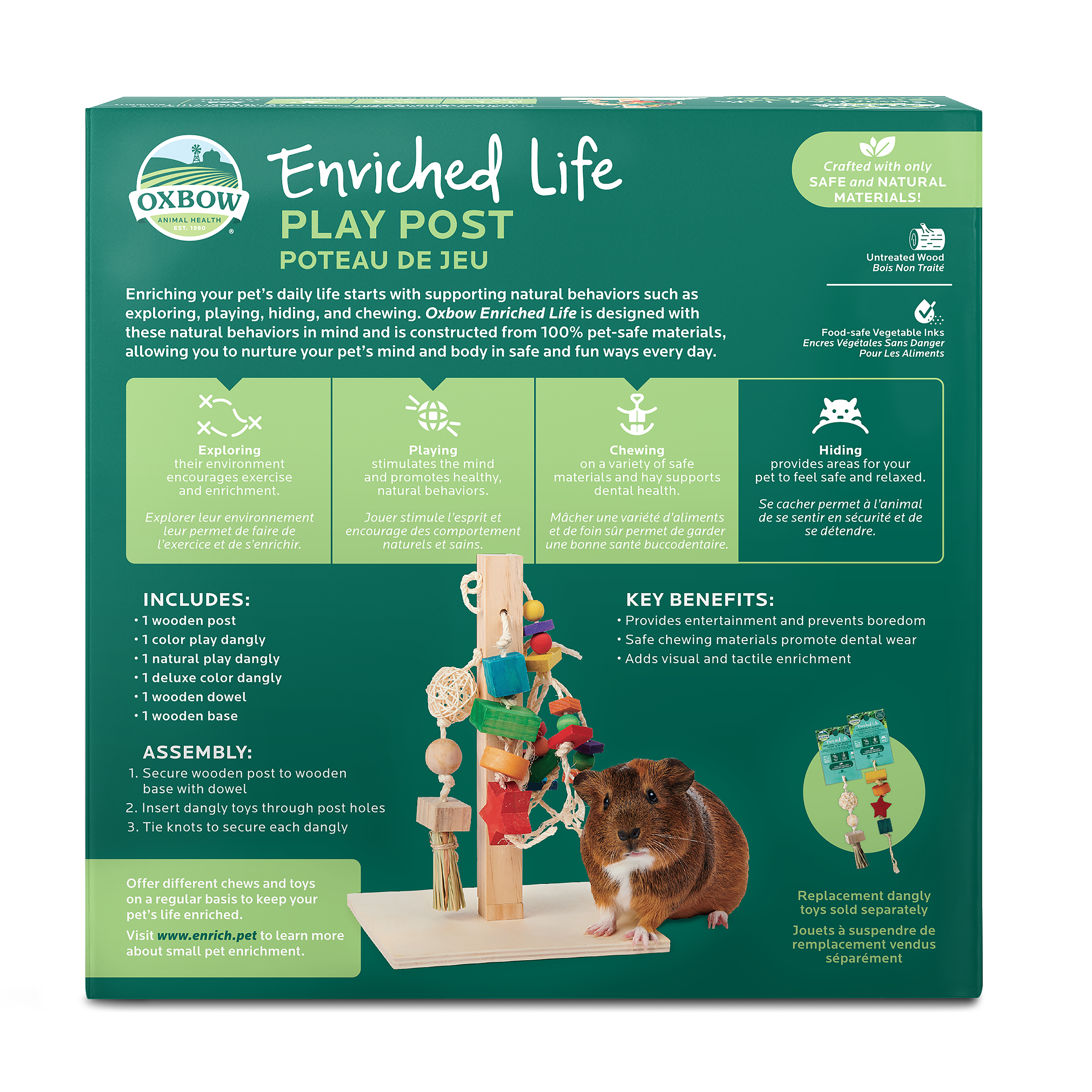 Enriched Life - Play Post