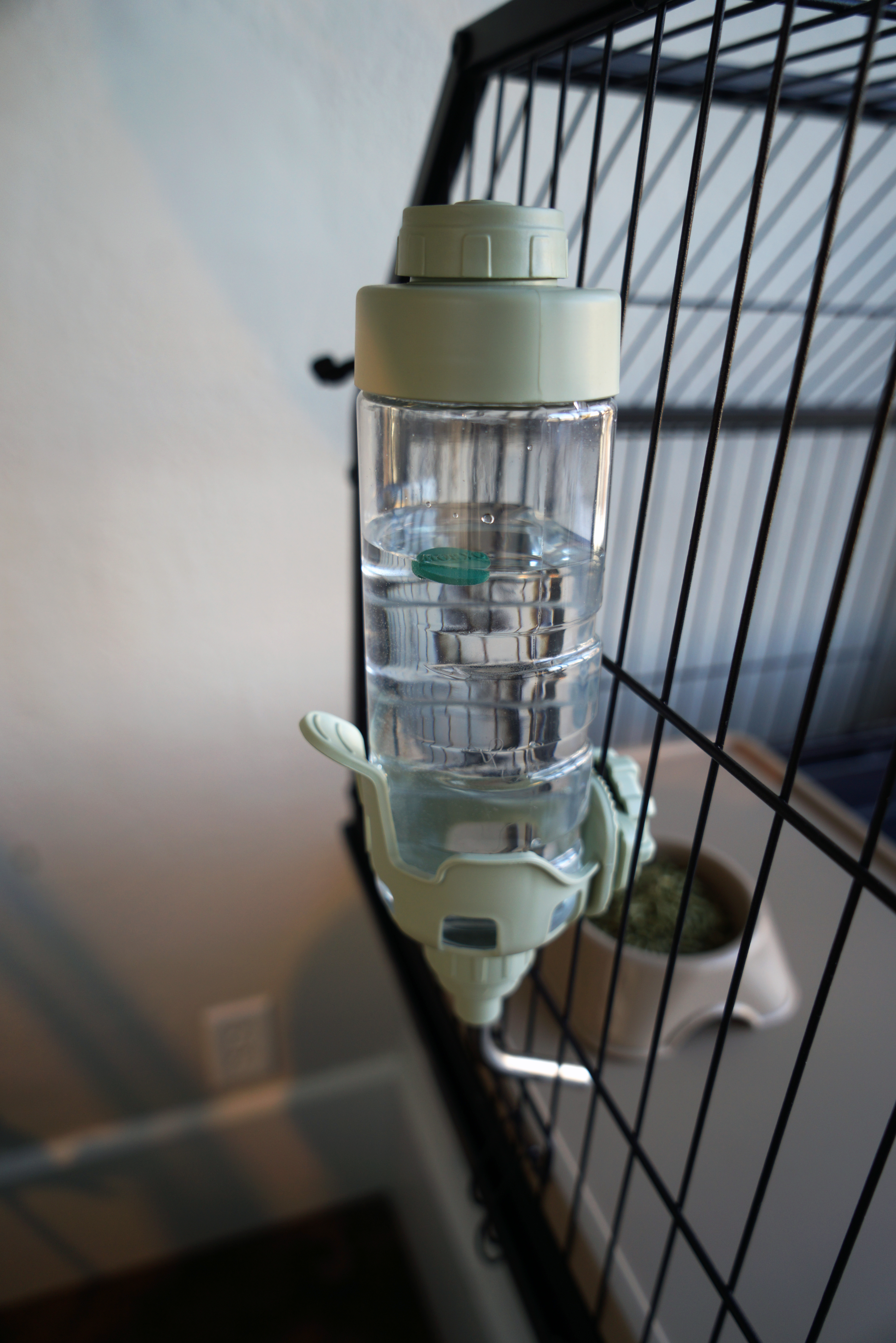 Enriched Life - Dripless Water Bottle (15oz/450ml)