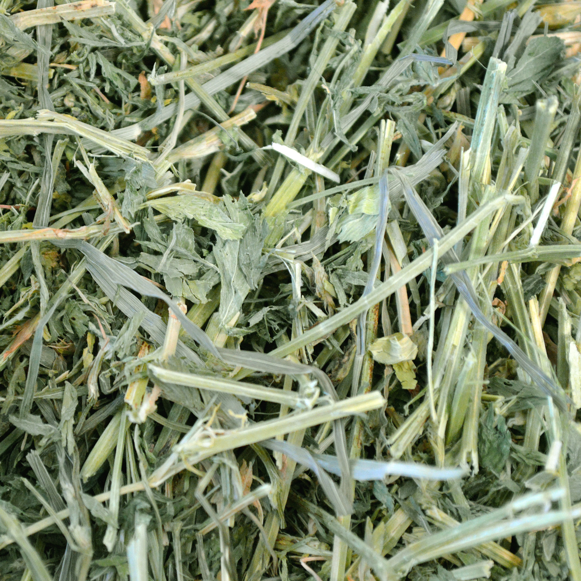 Oxbow Alfalfa Hay (40 oz) - 1.13kg