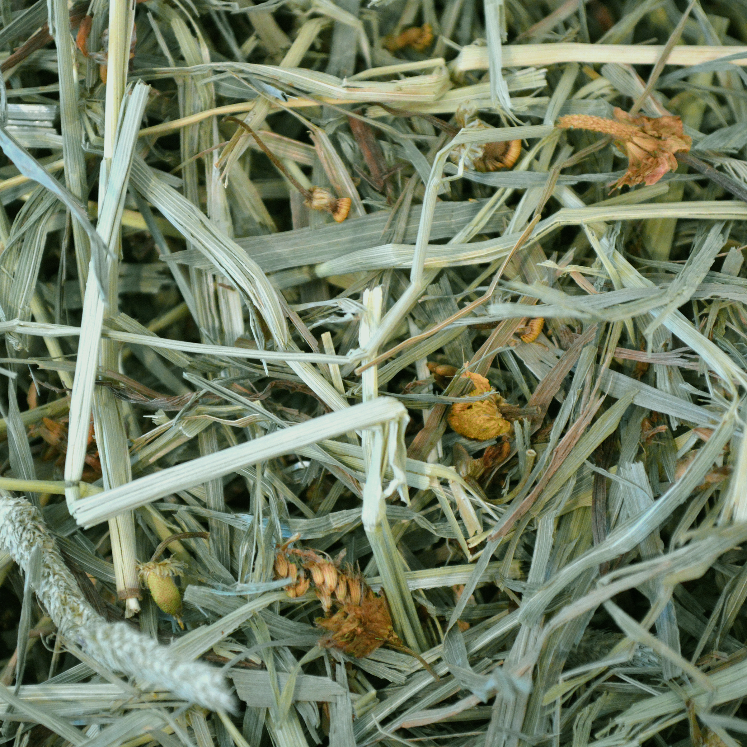Oxbow Botanical Hay (15 oz) - 425g