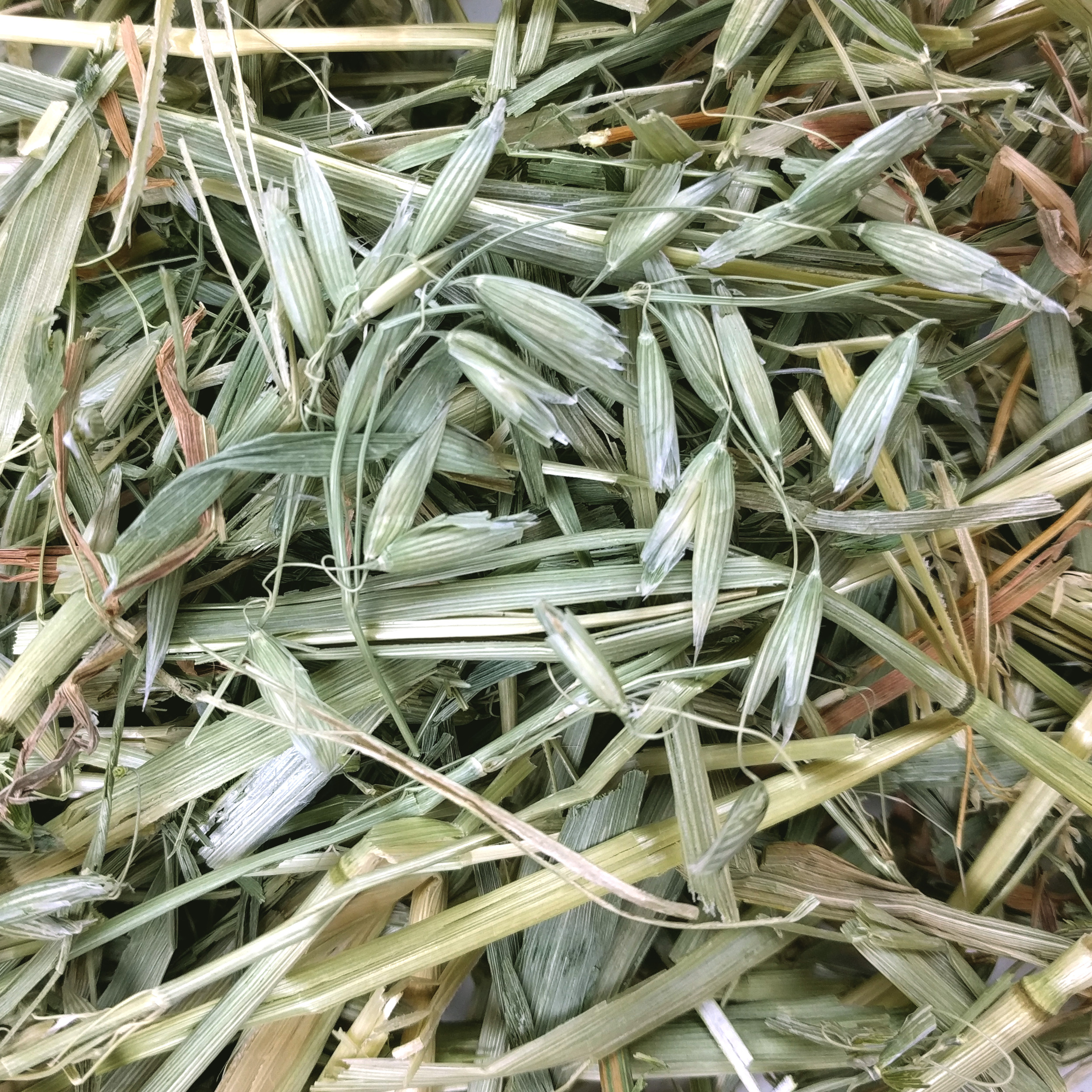 Oxbow Oat Hay (15 oz) - 425g