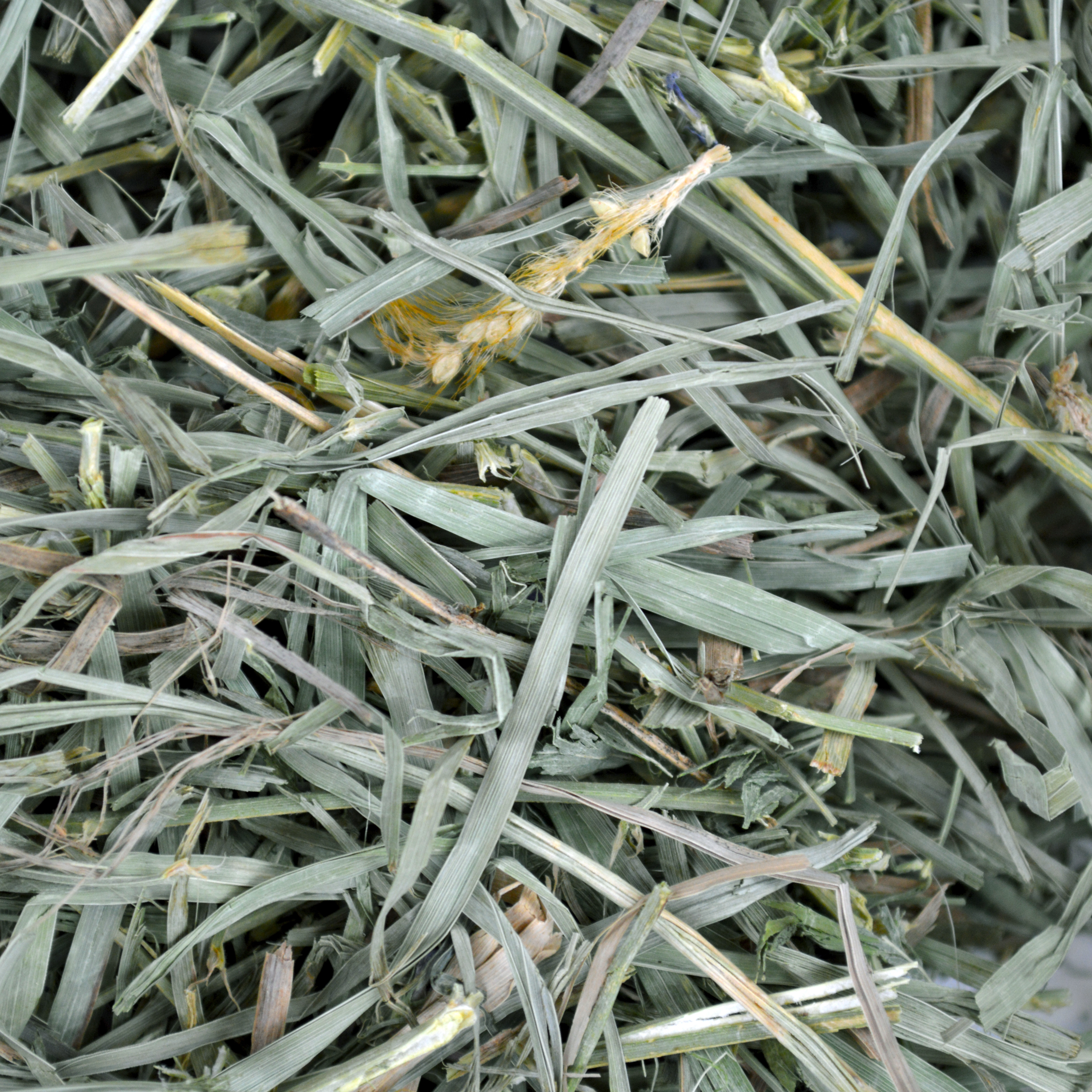 Oxbow Organic Meadow Hay (40 oz) - 1.13kg