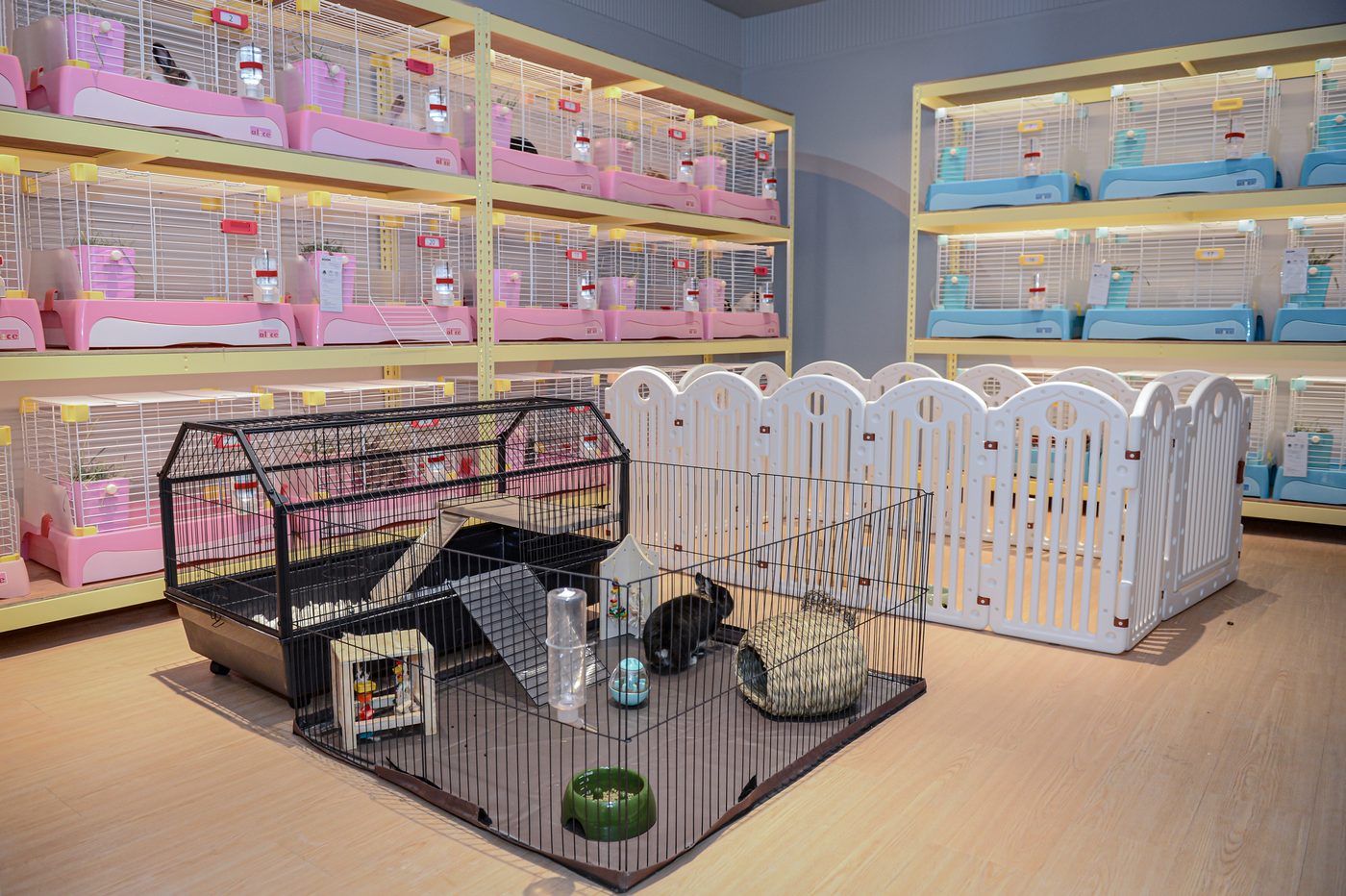 Rabbit day care at Beh & Yo
